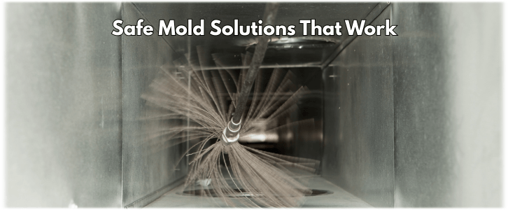 Air Duct Mold Removal in Glendale