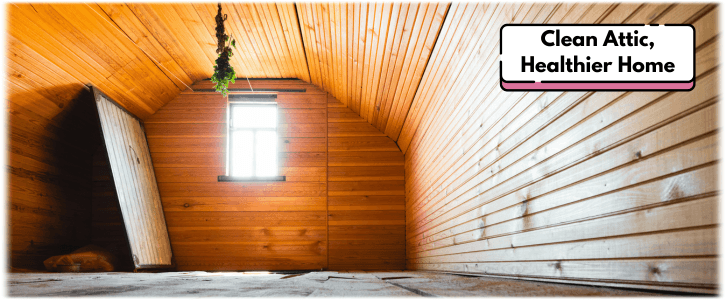 Attic Cleaning Glendale