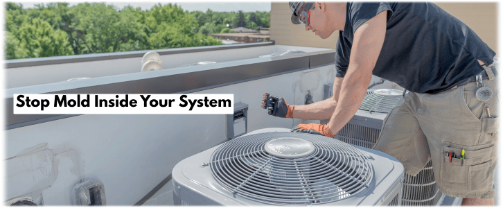 HVAC Mold Removal Glendale